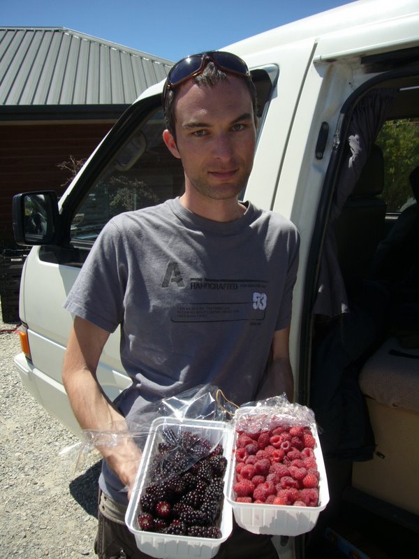 Left: Pick Your Own Boysenberries. Right: Fresh Raspberries.